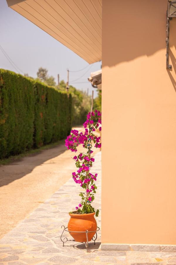 Kourouta Villas Amaliada Exterior photo